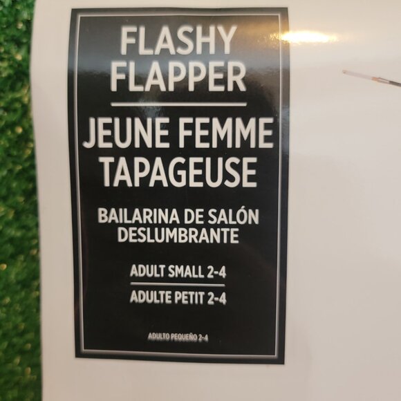 Flashy Flapper Adult Two Piece Costume Size Small(2-4) No. 841124 - Picture 2 of 11